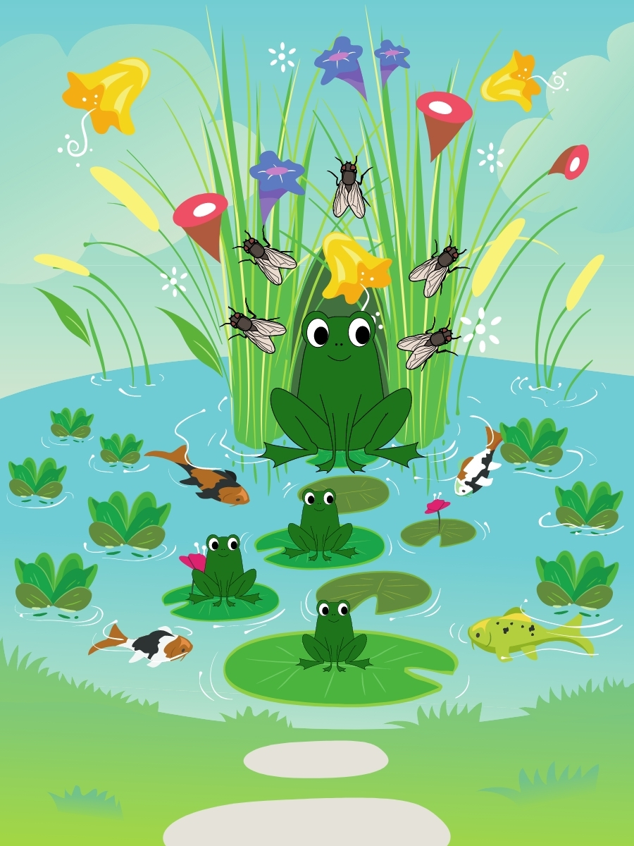 frog on a lily pad