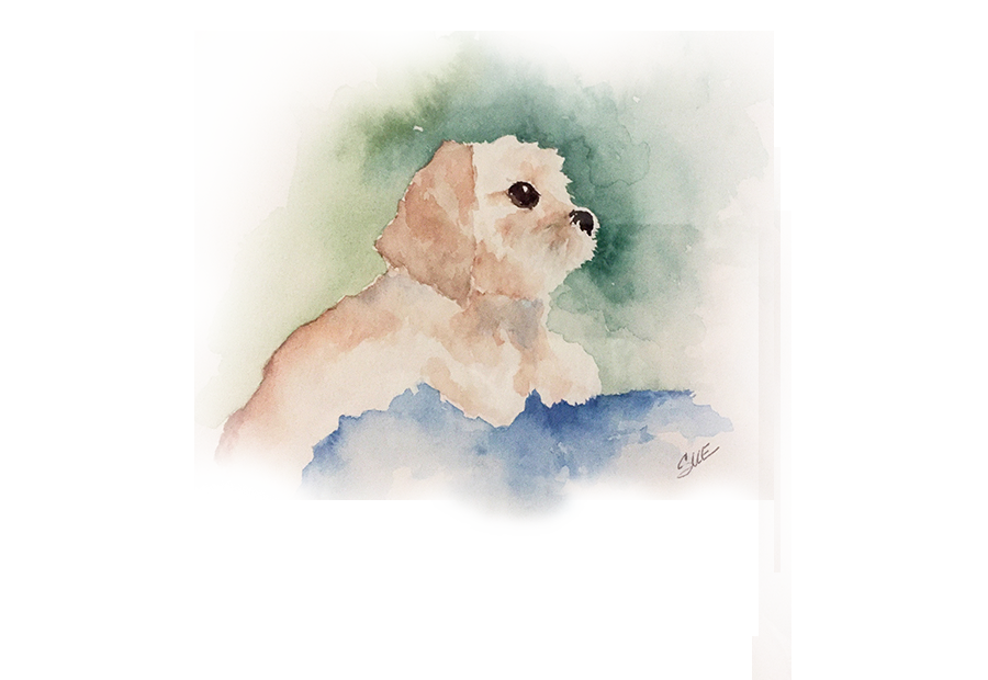 Pet Portrait Class with Sue Greco