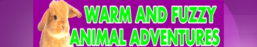 Logo for Warm and Fuzzy Animal Adventures