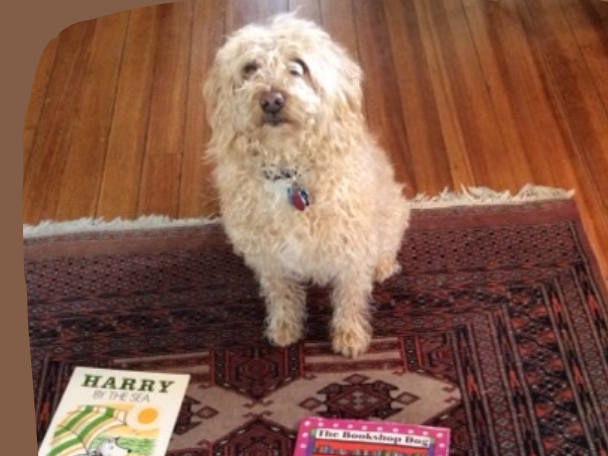 Flyer with information about Pickle the Read Dog Program.