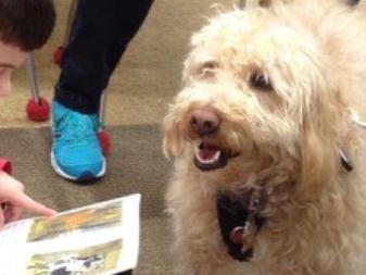 Flyer with information about Pickle the Read Dog Program.